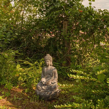 Hisa Hortenzija - And Apartman